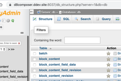 Tightly-cropped screenshot of phpMyAdmin running on a `.ddev.site` domain in a browser window