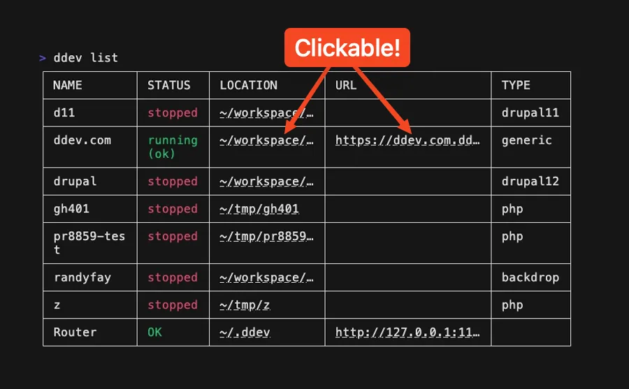 ddev list output showing projects with status, location, URL, and type