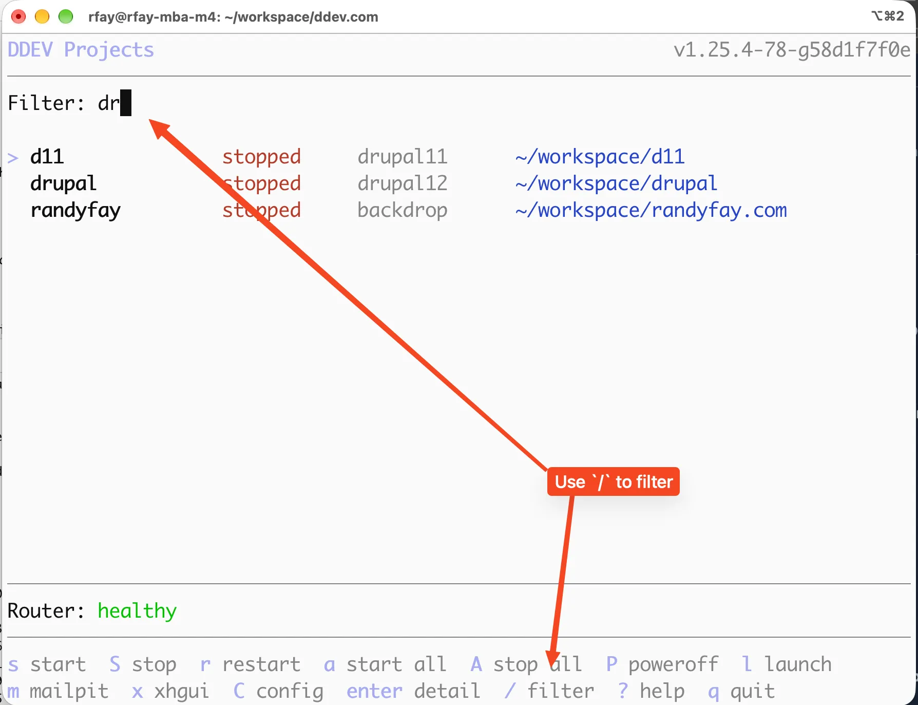 DDEV dashboard filtered by typing "dr" after pressing the slash key, showing only matching projects
