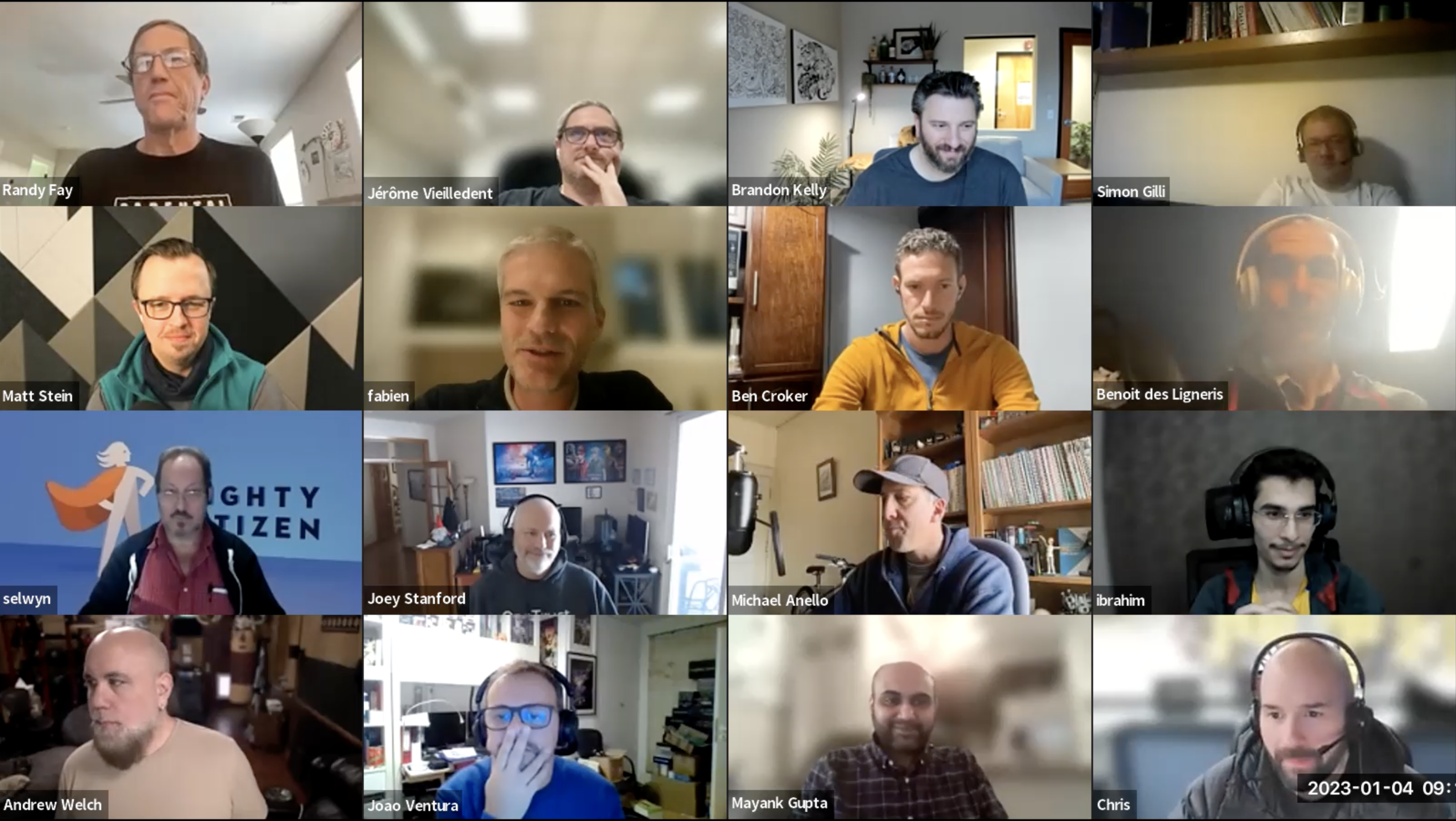 Screenshot of an advisory group Zoom call with a grid of sixteen faces