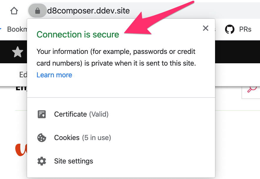 Extreme closeup screenshot of a browser with a `.ddev.site` emphasizing “Connection is secure”