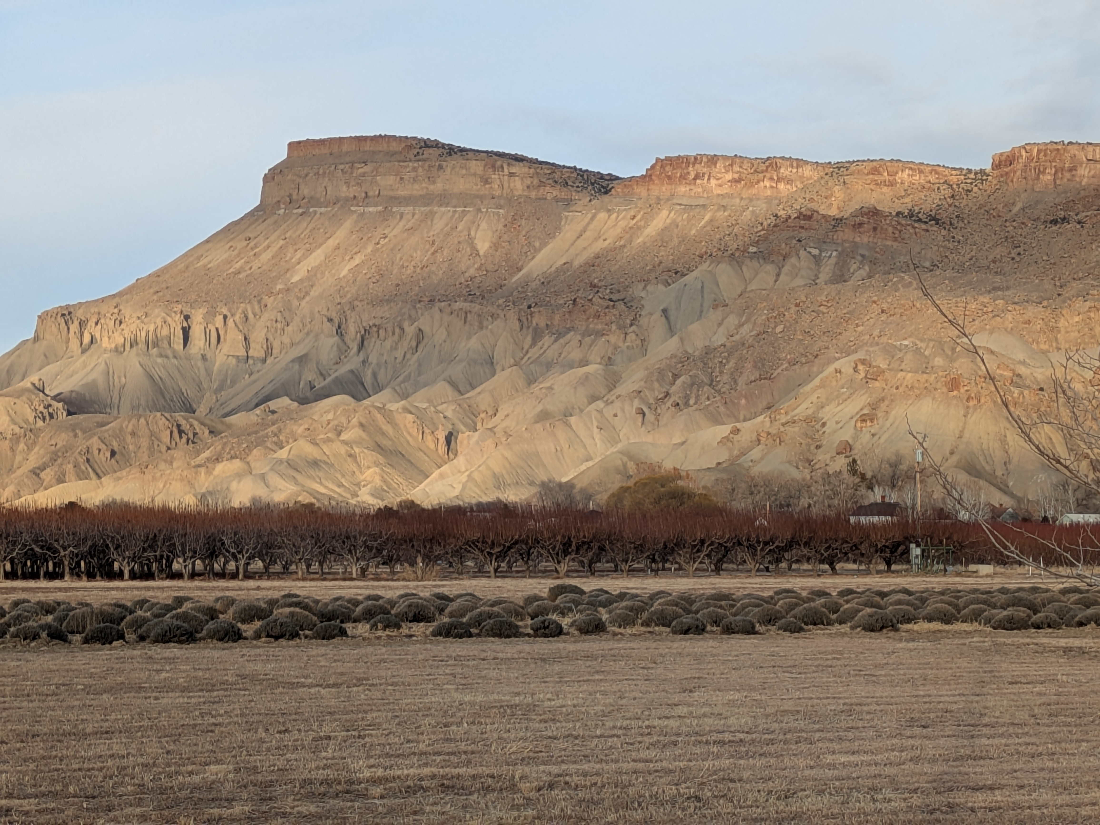 Mount Garfield over Palisade, Colorado, 2025-01-07