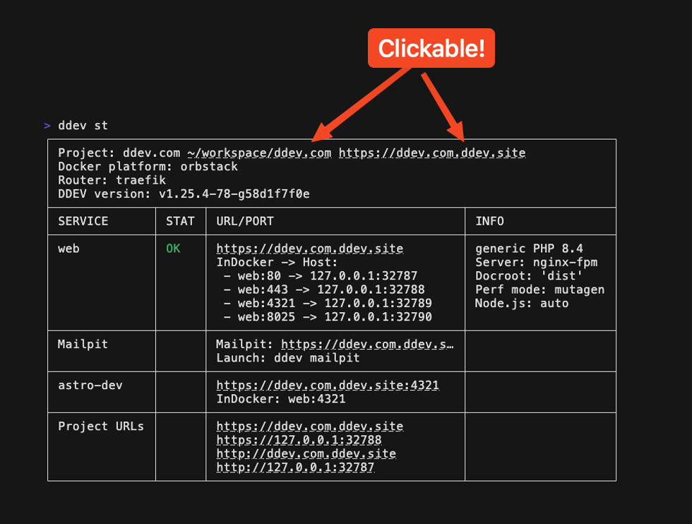 ddev st output with the project location underlined as a clickable link