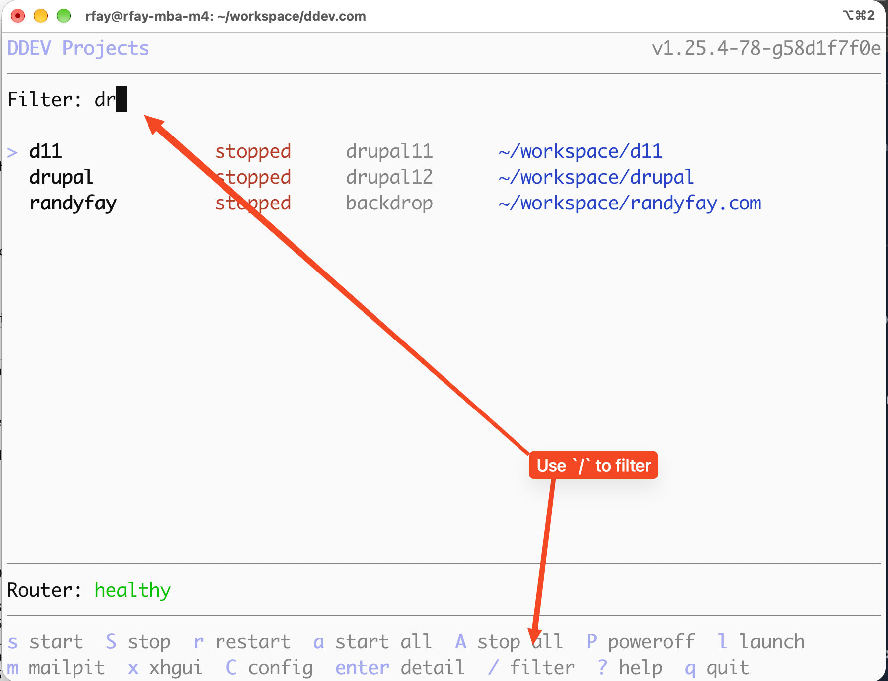 DDEV dashboard filtered by typing "dr" after pressing the slash key, showing only matching projects